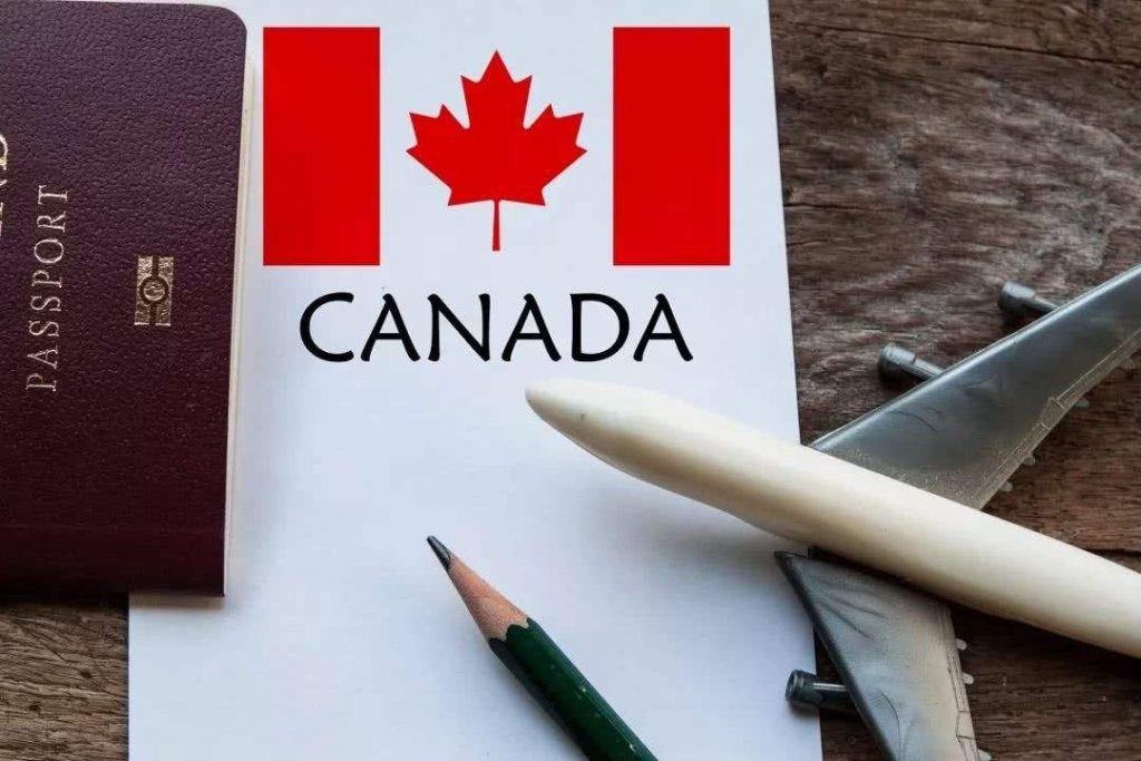 加拿大签证类型